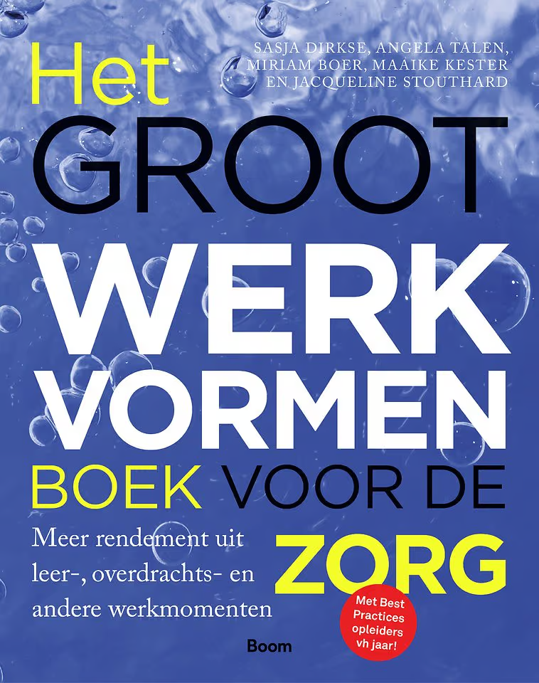 Het Grote Werkvormenboek voor de Zorg